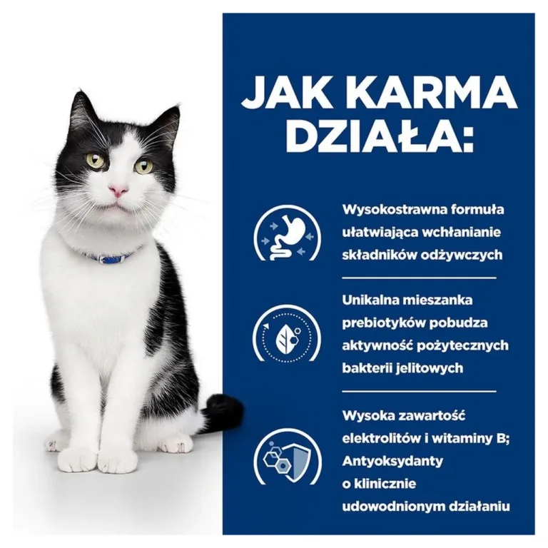 Kana seedimist soodustav kassitoit – Hill's Digestive Care omadused