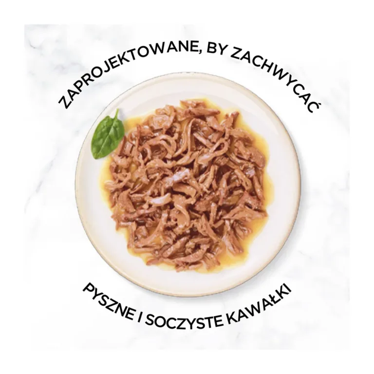 PURINA Gourmet kassitoit kalatükkidega taldrikul