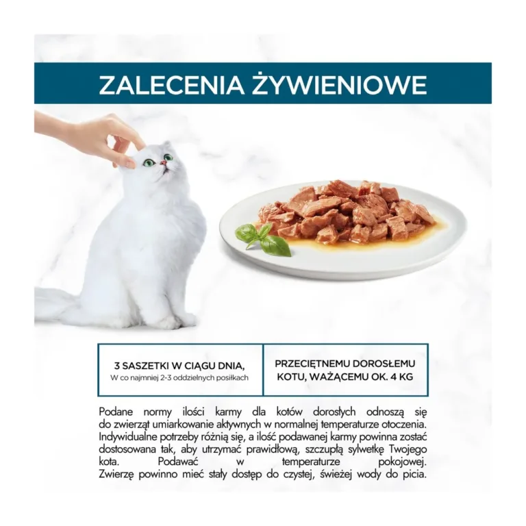Valge kass ja serveeritud Gourmet Perle eine taldrikul