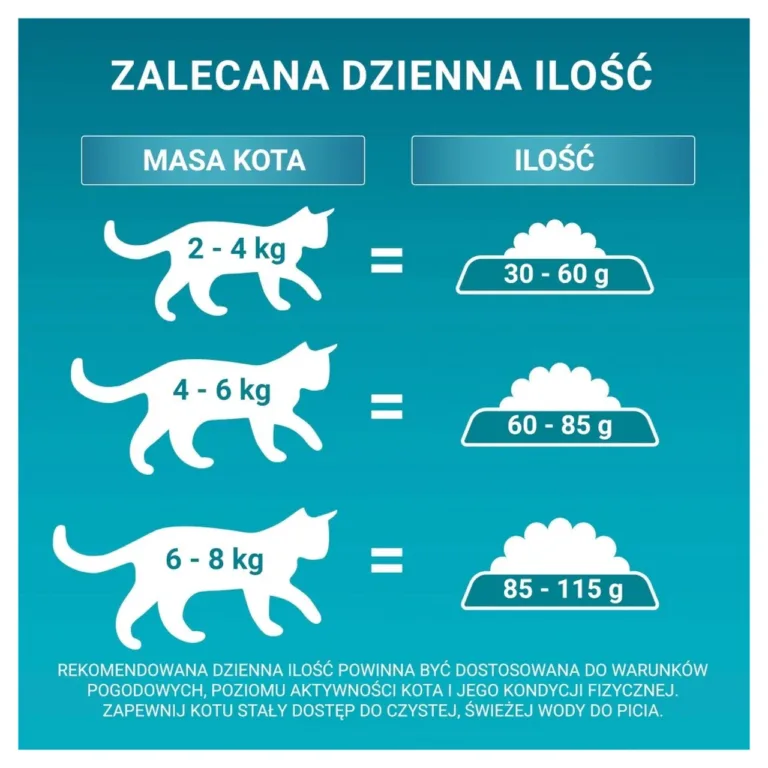 Kanaga kuivtoit kassidele, Purina One toitmissoovitused
