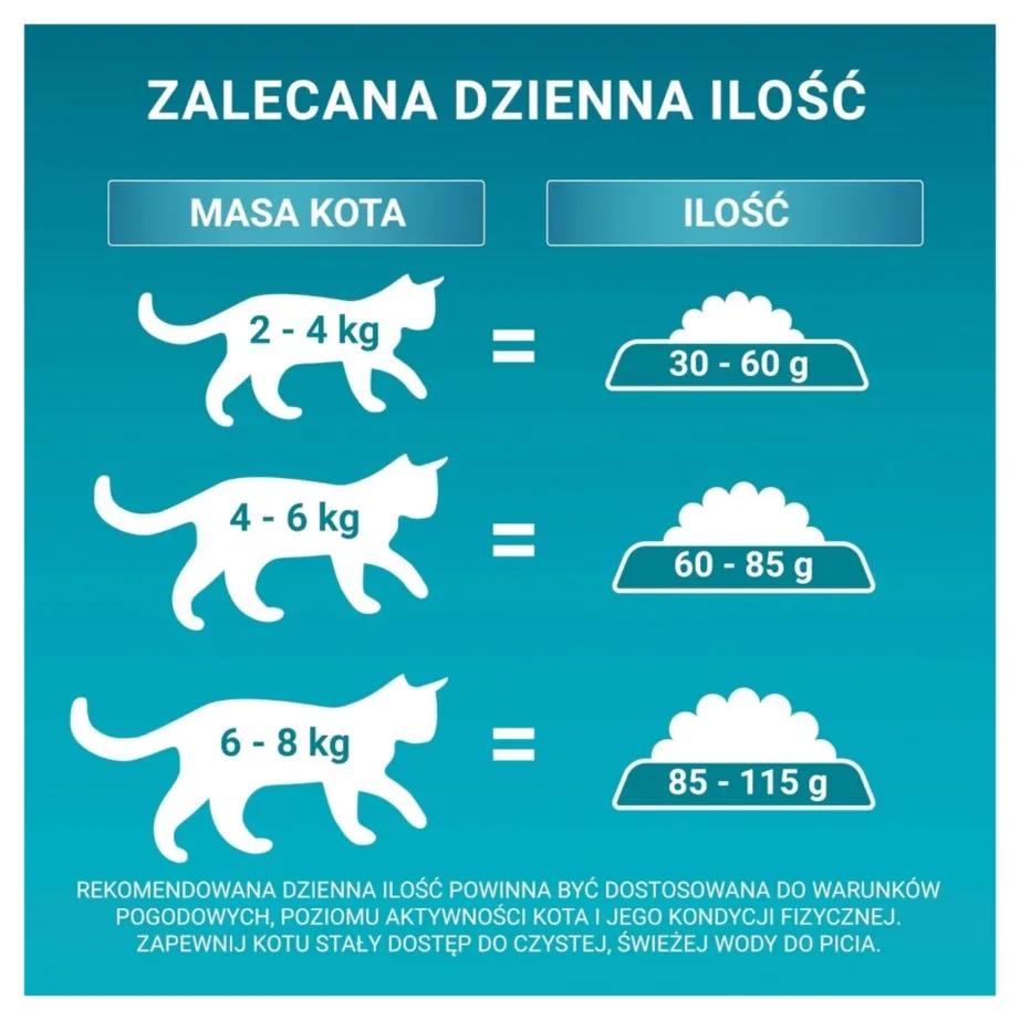 Purina One Bifensis Adult 800 g kanaga kuivtoit täiskasvanud kassidele – 4