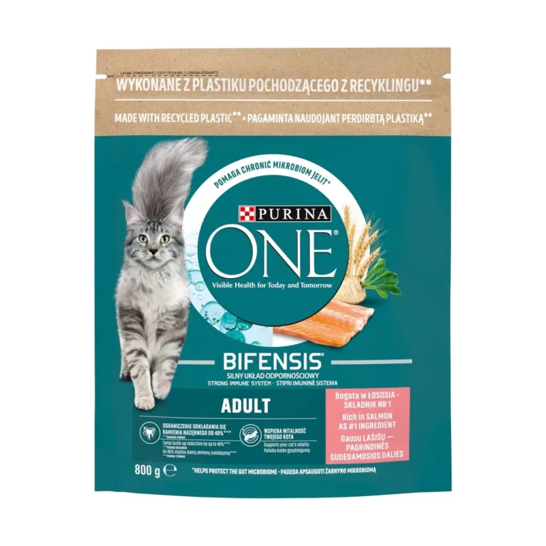 lõhega kuivtoit kassile Purina ONE Bifensis 800g pakk