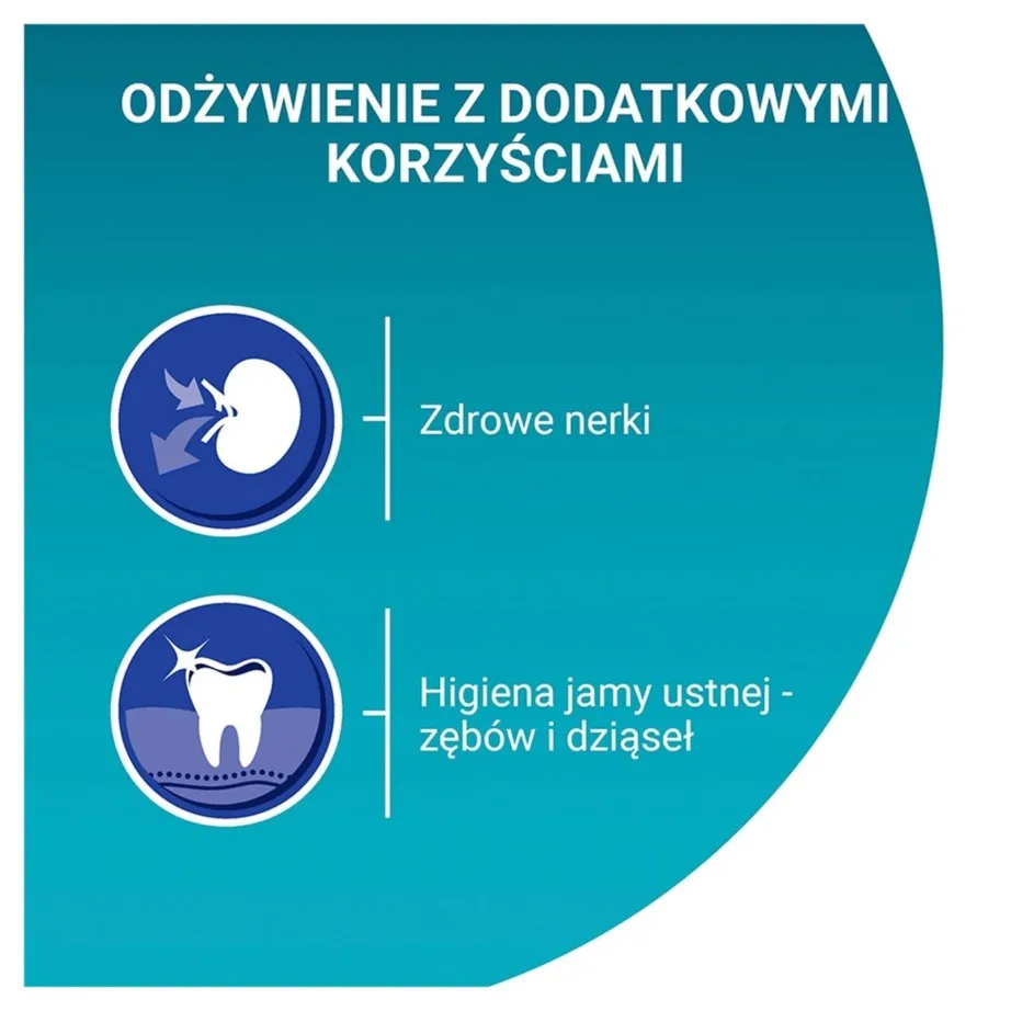 Purina One Bifensis Senior 7+ 800 g kanamaitseline kuivtoit eakale kassile – 2
