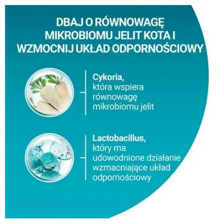 steriliseeritud kassi kuivtoit veiselihaga mikrobioomi tugi