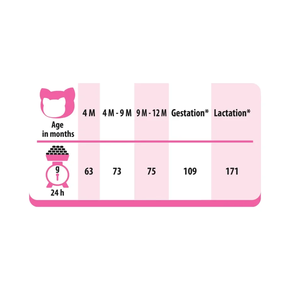 PreVital Junior Chicken 950g kuivtoit kanaga kassipoegadele – 2