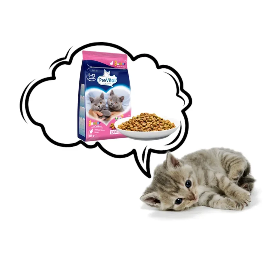 PreVital Junior Chicken 950g kuivtoit kanaga kassipoegadele – 6