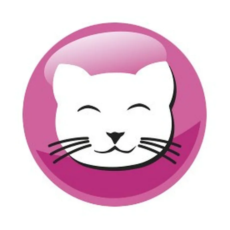 PreVital Junior Chicken 950g kuivtoit kanaga kassipoegadele – 7