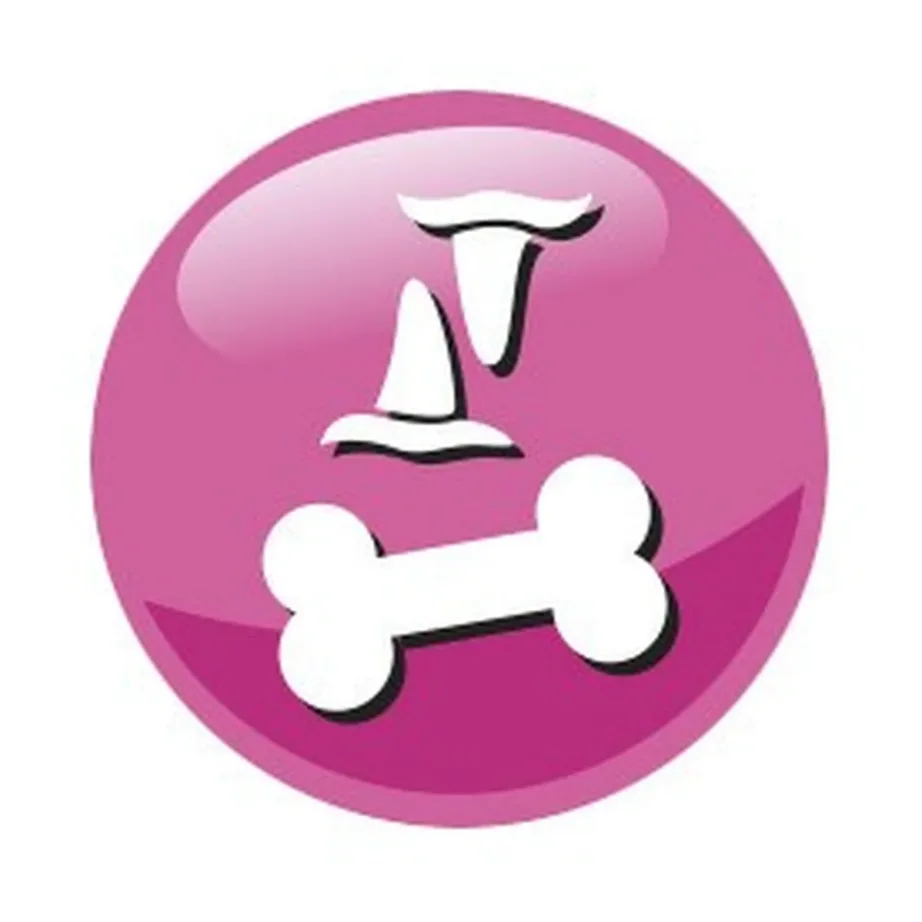 PreVital Junior Chicken 950g kuivtoit kanaga kassipoegadele – 9