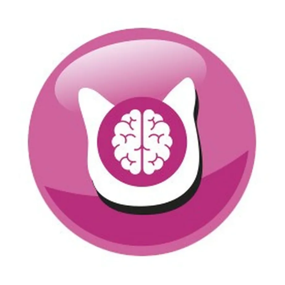 PreVital Junior Chicken 950g kuivtoit kanaga kassipoegadele – 10