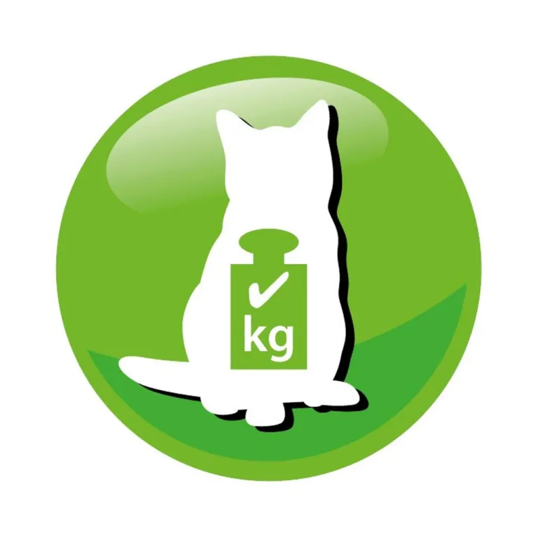 kaalujälgimise ikoon kuivtoidul