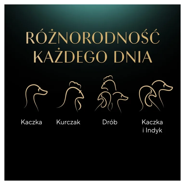 Sheba linnuliha, kana, pardi ja kalkuni ikoonid