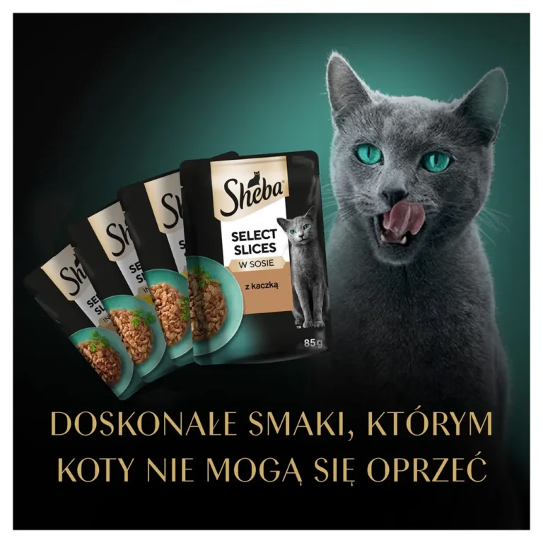 Sheba kassi märgtoit pardiga, kass ja toidupakid