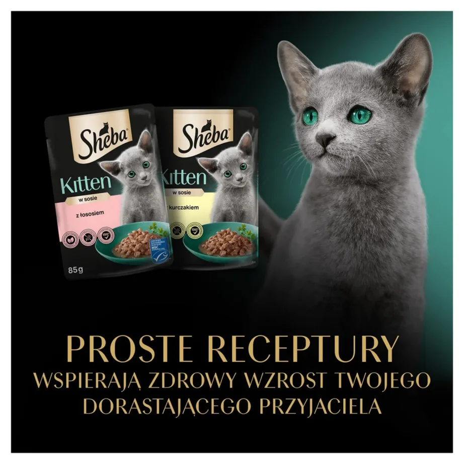 Sheba Nature’s Collection Kitten kana 40x85g gluteenivaba märgtoit kassipoegadele – 11