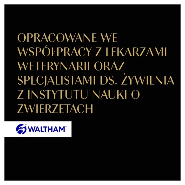 Sheba kass ning looduslikkust ja tasakaalu sümboliseerivad ikoonid