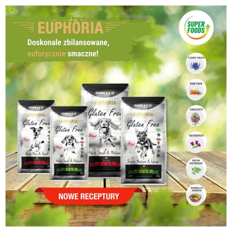 BIOFEED Euphoria kuivtoidu pakid puitpinnal rohelisel taustal