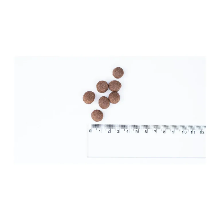 gluteenivaba kalkuni koeratoit 12kg graanulite suurus