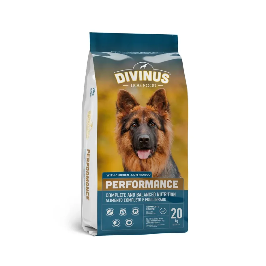 kana kuivtoit saksa lambakoerale Divinus Performance 20 kg kott