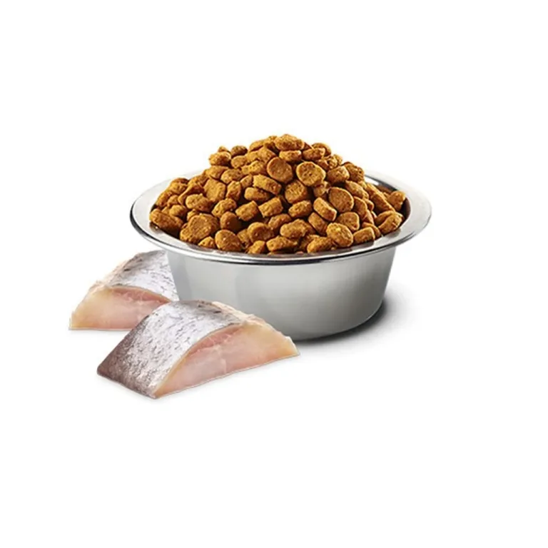 Kuiv koeratoit heeringaga 7 kg terasest kausis ja heeringafileed