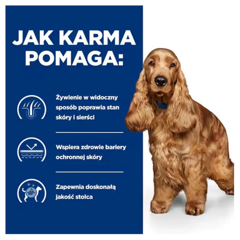 Hill's Prescription Diet koer ja allergiatoidu kasulikud mõjud