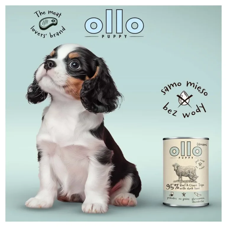 veiselihaga märgtoit kutsikatele ja kutsikas OLLO Puppy 400g
