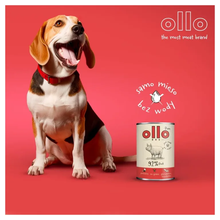 OLLO Pure Pork sealiha märgtoit koertele purk koos koostise infotega