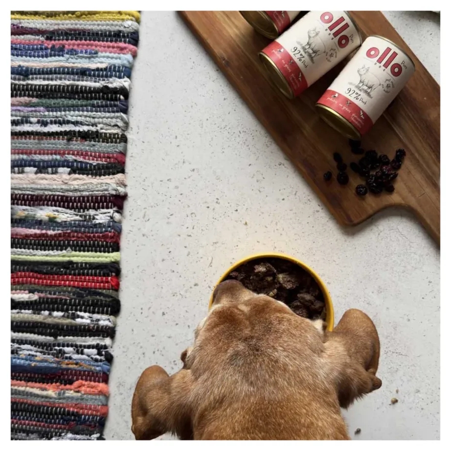 OLLO Pure Pork 850 g monoproteiinne sealiha märgtoit täiskasvanud koertele, teravilja- ja gluteenivaba – 6