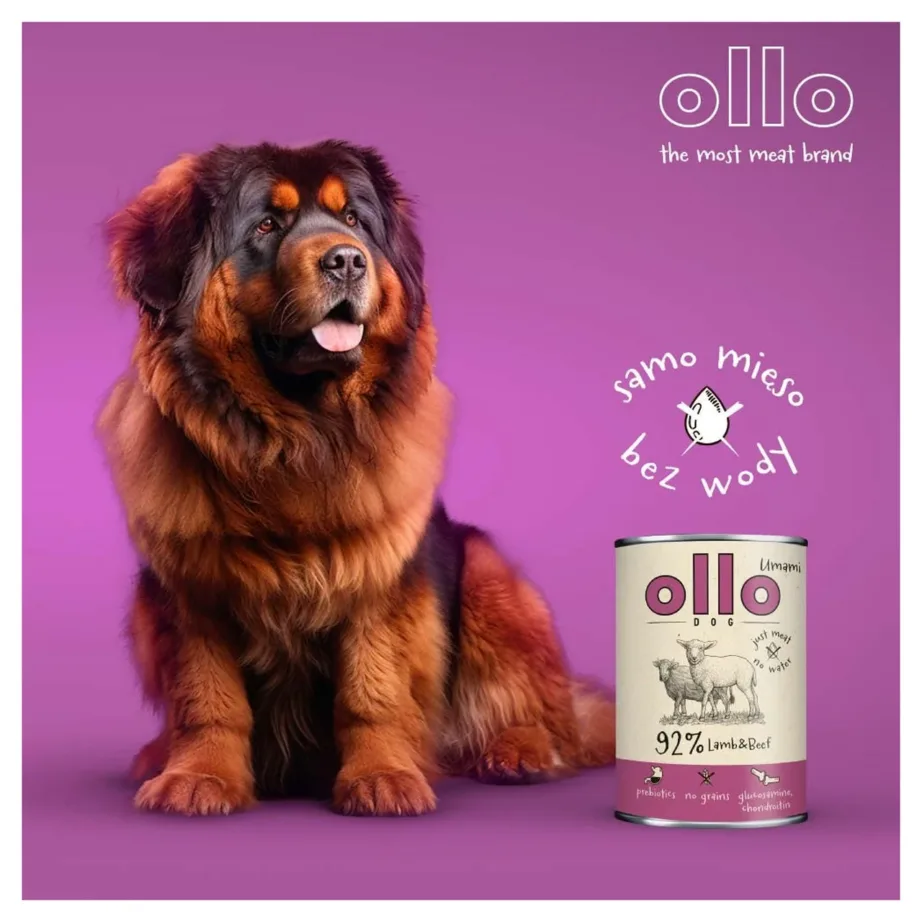 OLLO Umami 850 g lambaliha ja veiselihaga teraviljavaba märgtoit täiskasvanud koertele – 2