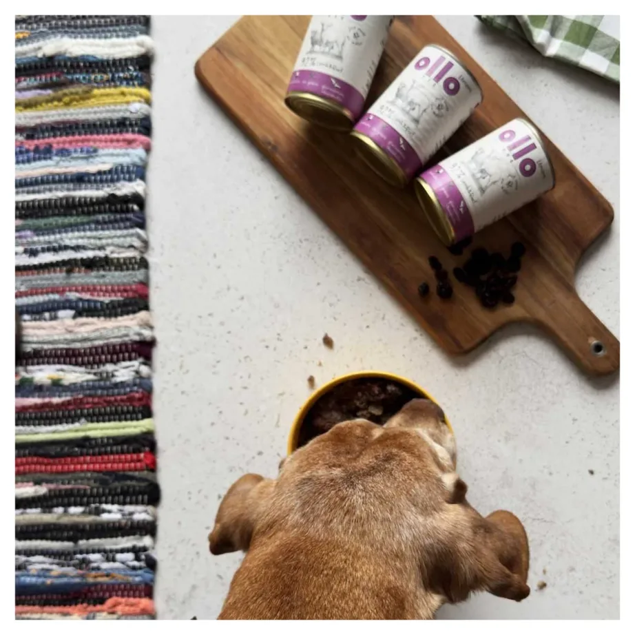 OLLO Umami 850 g lambaliha ja veiselihaga teraviljavaba märgtoit täiskasvanud koertele – 6