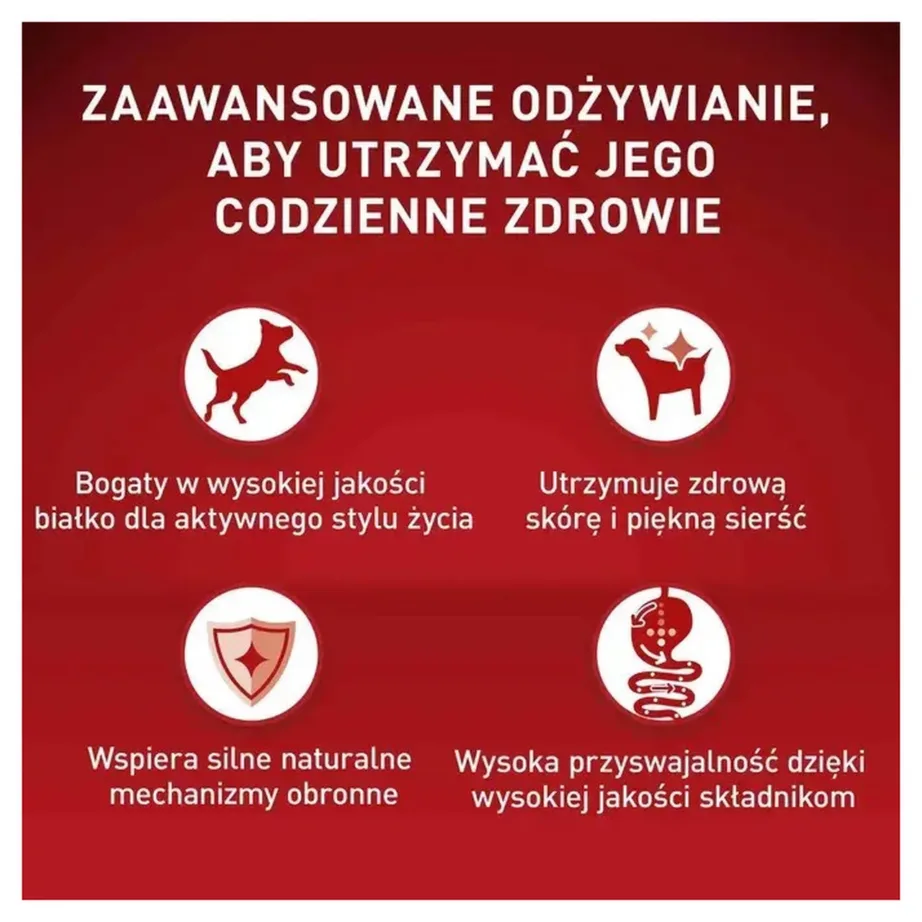 PURINA One Mini/Small Active Beef 85g gluteenivaba märgtoit väikestele koertele – 2