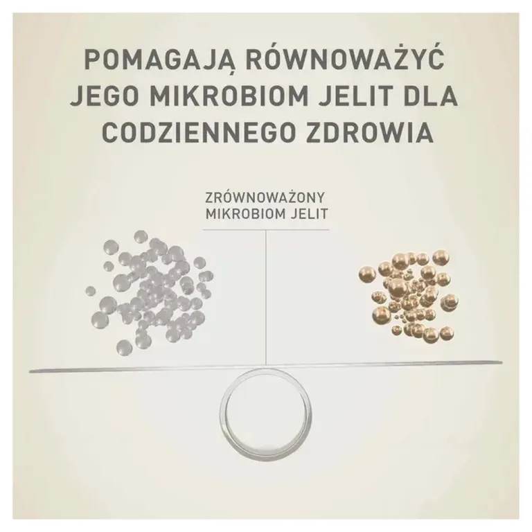 PURINA One veiselihaga märgtoit väikestele koertele, mikrobioomi tasakaal