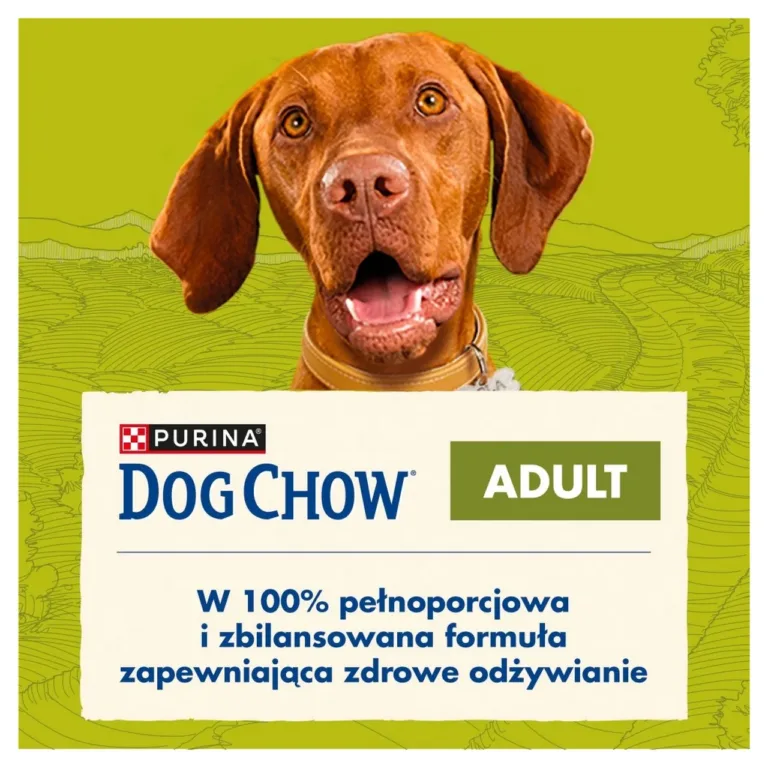 täiskasvanud koera kuivtoit lambaga Purina Dog Chow Adult pakend