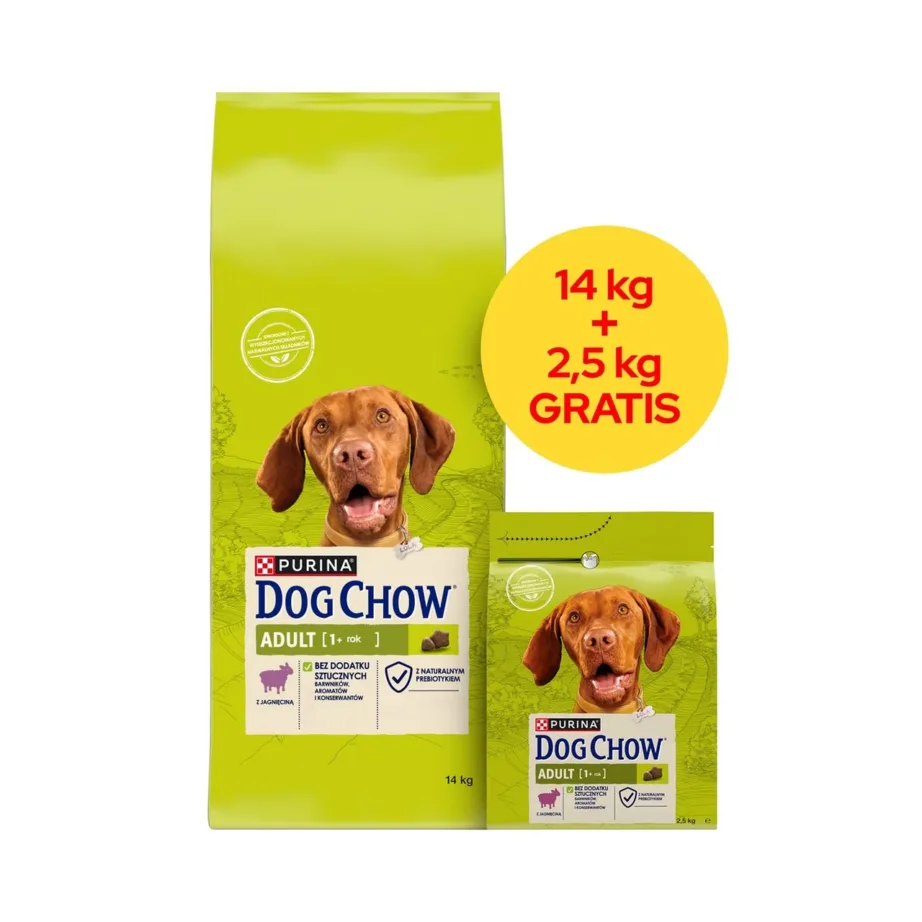 Purina Dog Chow Adult Lamb 16,5 kg kuivtoit täiskasvanud koertele, suhkruvaba