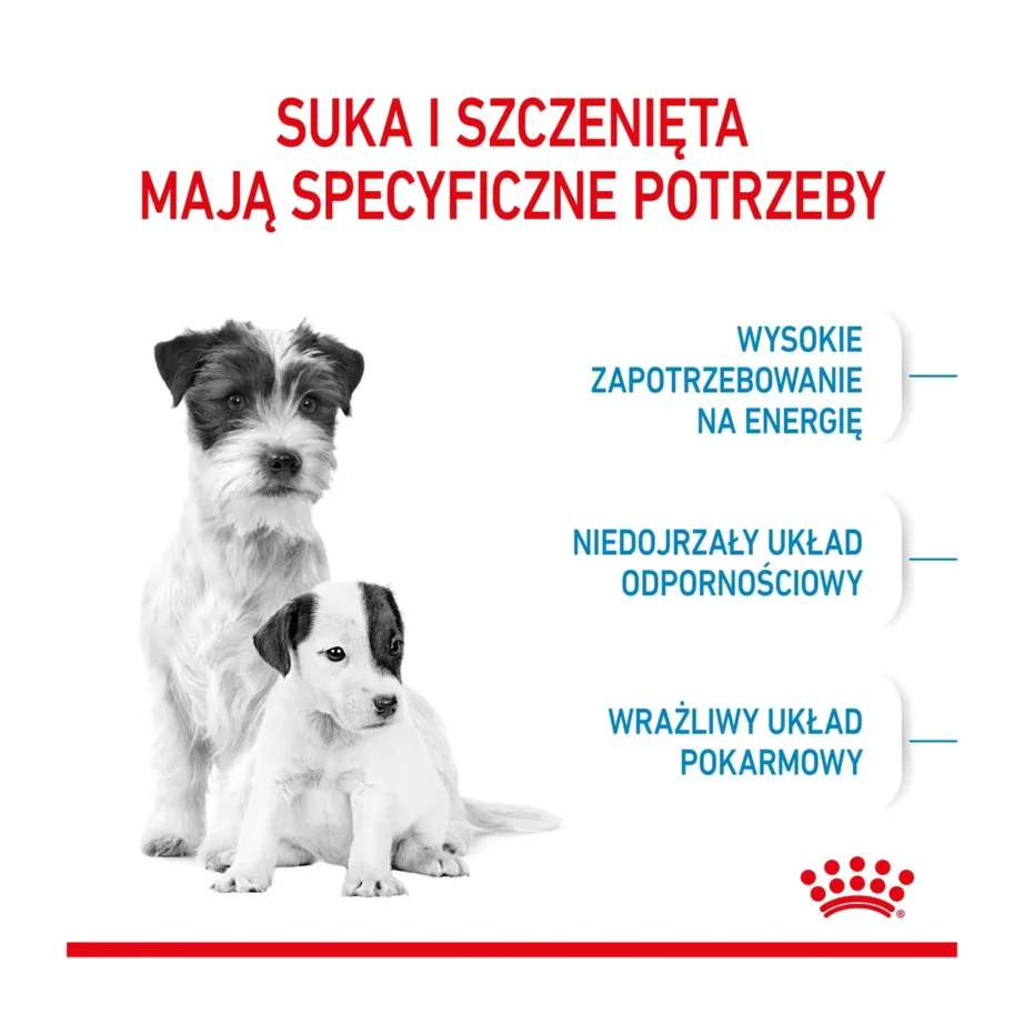 Royal Canin SHN Mini Starter 4 kg kuivtoit väikest tõugu emastele koertele ja kutsikatele tiinuse, imetamise ning kasvuperioodi toetuseks, linnulihaga – 2