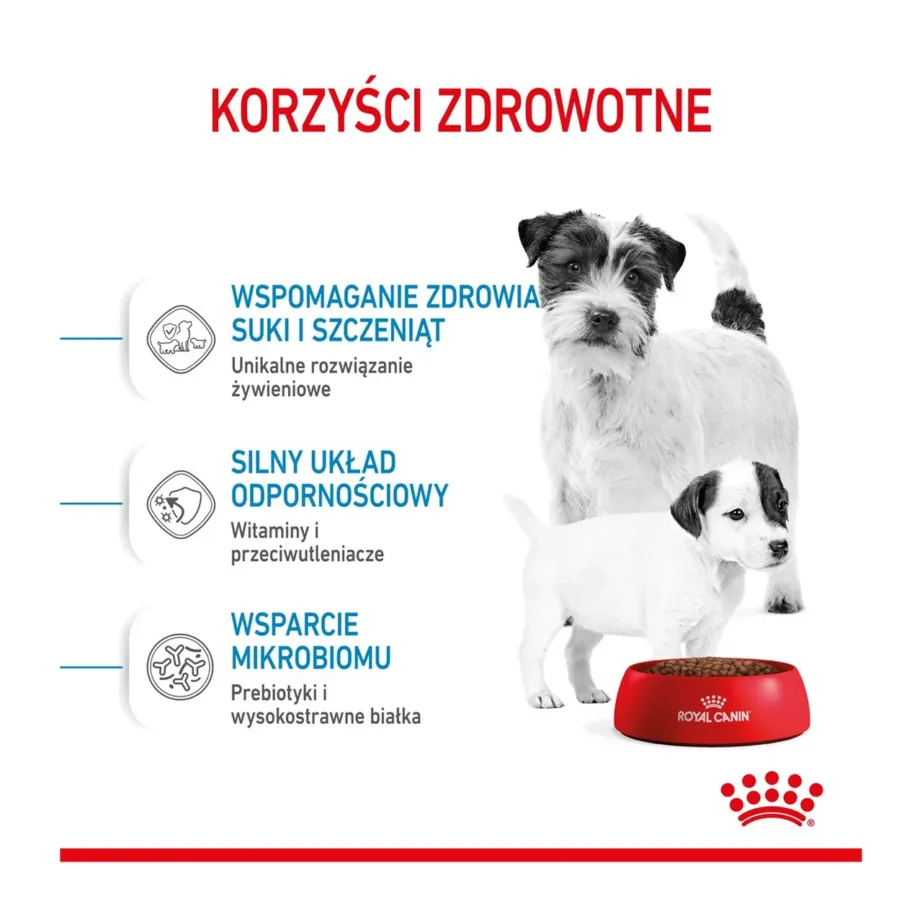 Royal Canin SHN Mini Starter 4 kg kuivtoit väikest tõugu emastele koertele ja kutsikatele tiinuse, imetamise ning kasvuperioodi toetuseks, linnulihaga – 4