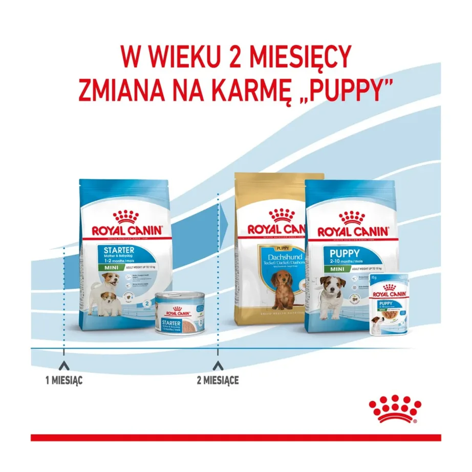 Royal Canin SHN Mini Starter 4 kg kuivtoit väikest tõugu emastele koertele ja kutsikatele tiinuse, imetamise ning kasvuperioodi toetuseks, linnulihaga – 9