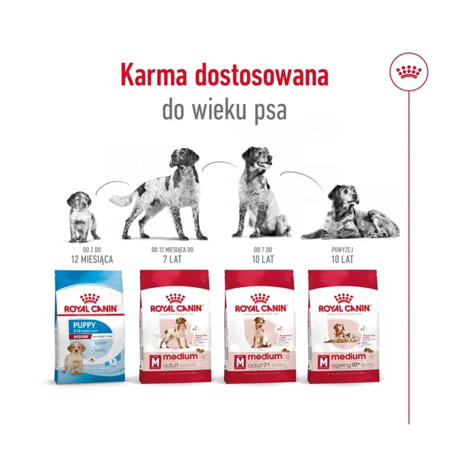 Royal Canin Size Health Nutrition Medium Adult 15 kg kuivtoit keskmise suurusega täiskasvanud koertele – 12