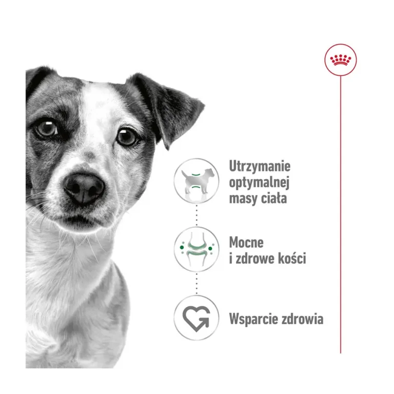 Väikese koera tervise hoidmine Royal Canin Mini Adultiga