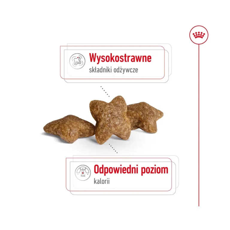 Royal Canin Mini Adult 8kg krõbinad ja kõrge seeduvusega koostis