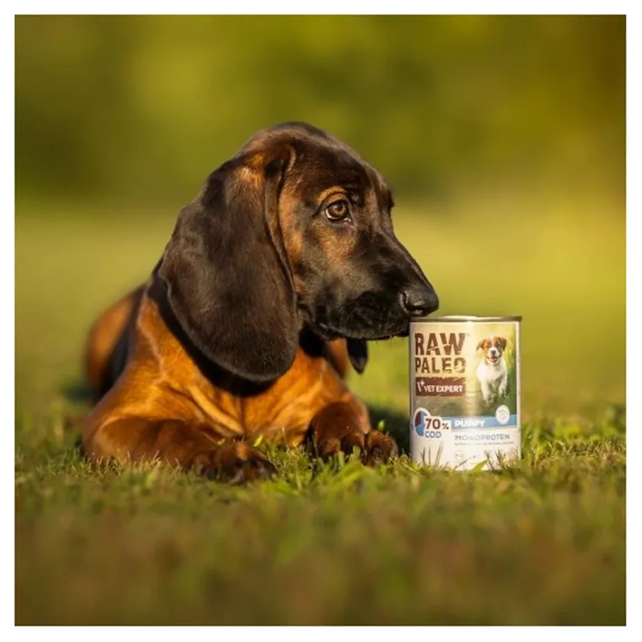 VetExpert Raw Paleo Adult Monoproteiin Tursk 400 g teraviljavaba märgtoit täiskasvanud koertele – 4