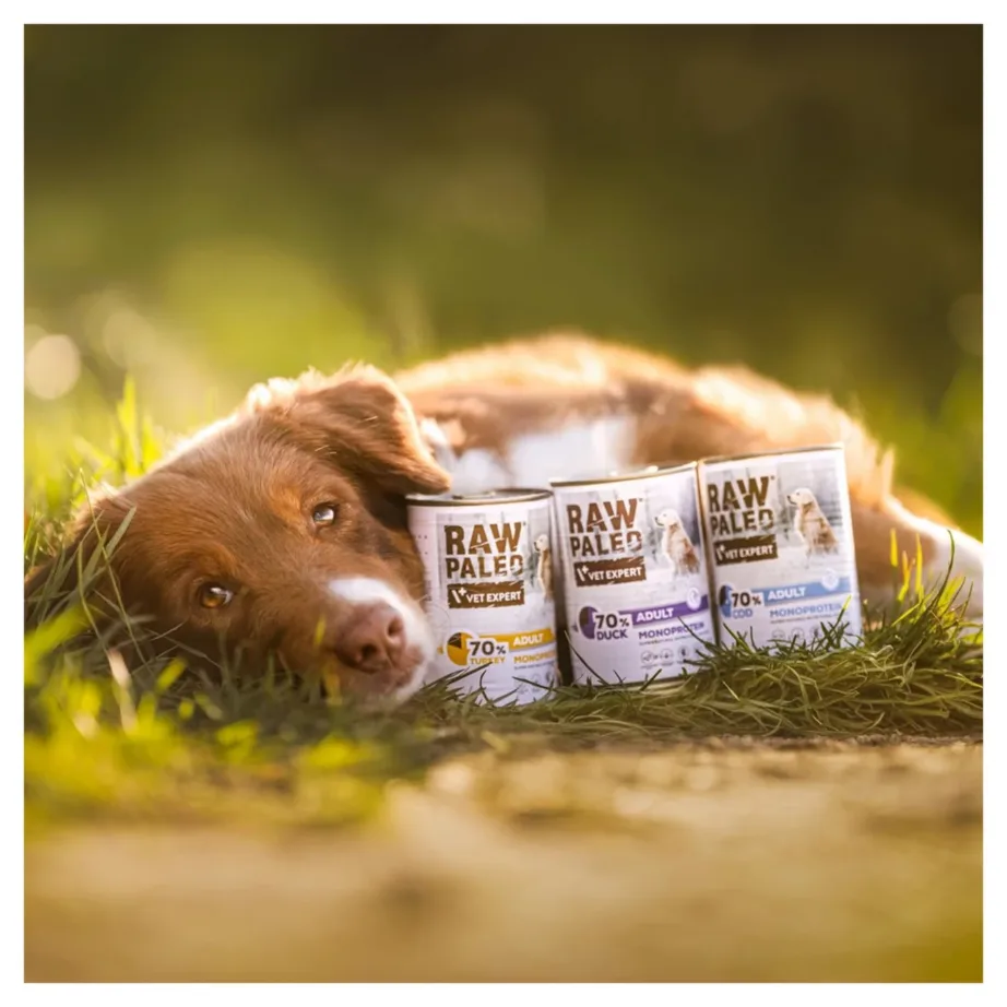 VetExpert Raw Paleo Adult Duck 400 g monoproteiinne märgtoit kõikidele koeratõugudele – 3
