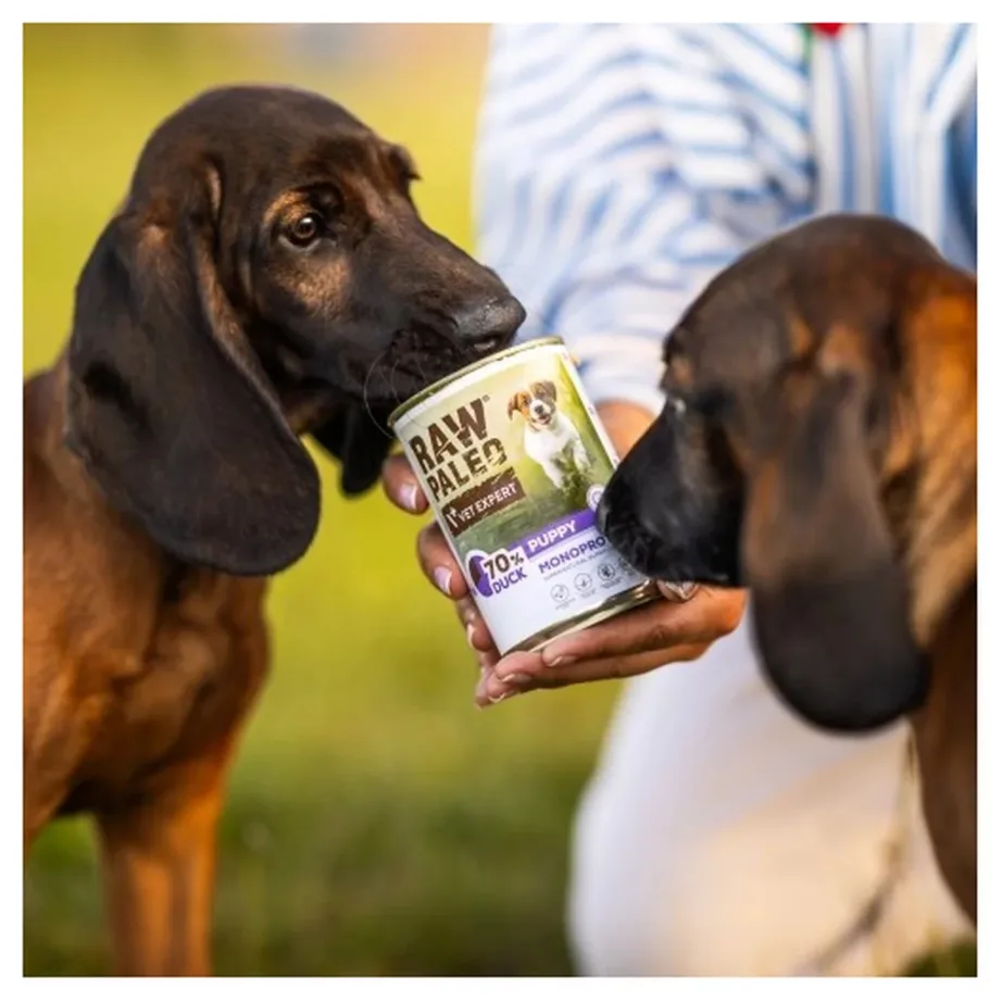VetExpert Raw Paleo Adult Duck 400 g monoproteiinne märgtoit kõikidele koeratõugudele – 4