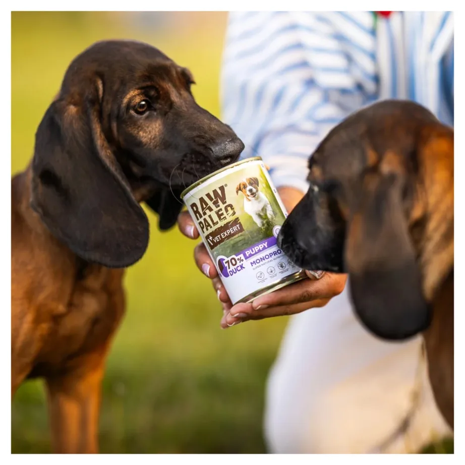 VetExpert Raw Paleo Puppy Monoproteiin pardilihaga märgtoit allergilisele kutsikale 400 g – 2