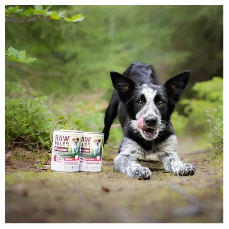 VetExpert Raw Paleo Puppy veiseliha monoproteiin märgtoit kutsikatele ja mustvalge kutsikas looduses