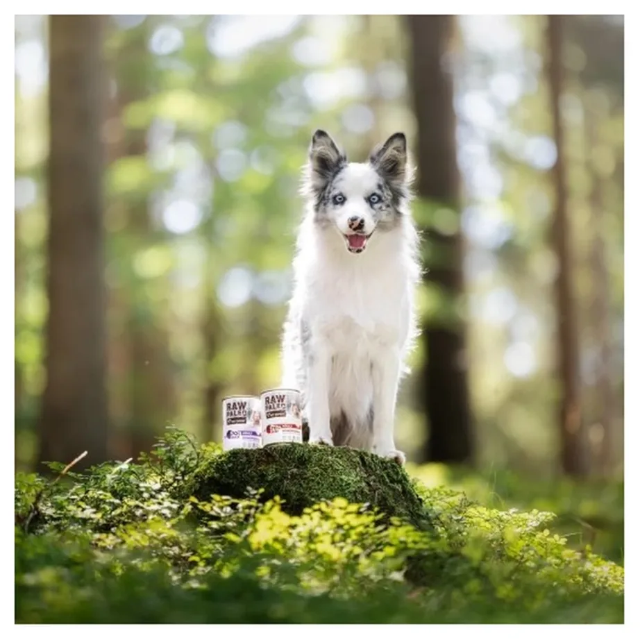 VetExpert Raw Paleo Puppy Beef 400 g monoproteiinne märgtoit kutsikatele, teraviljavaba – 3