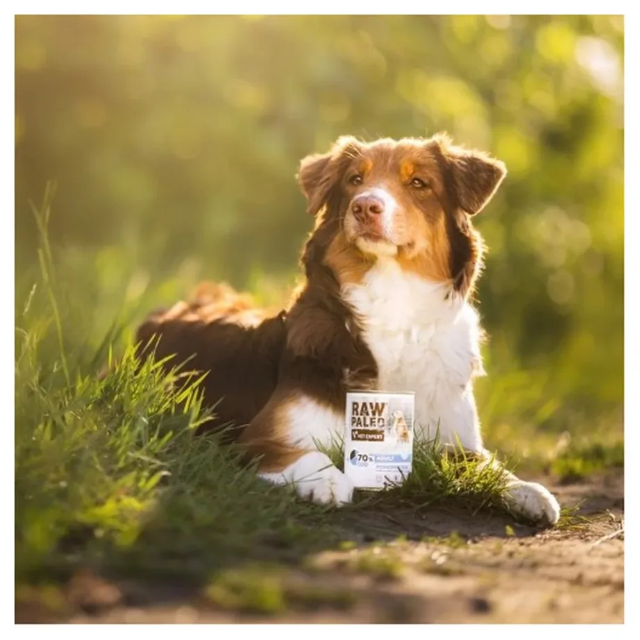 VetExpert Raw Paleo Adult Monoprotein Cod 800 g teraviljavaba märgtoit täiskasvanud koertele – 2