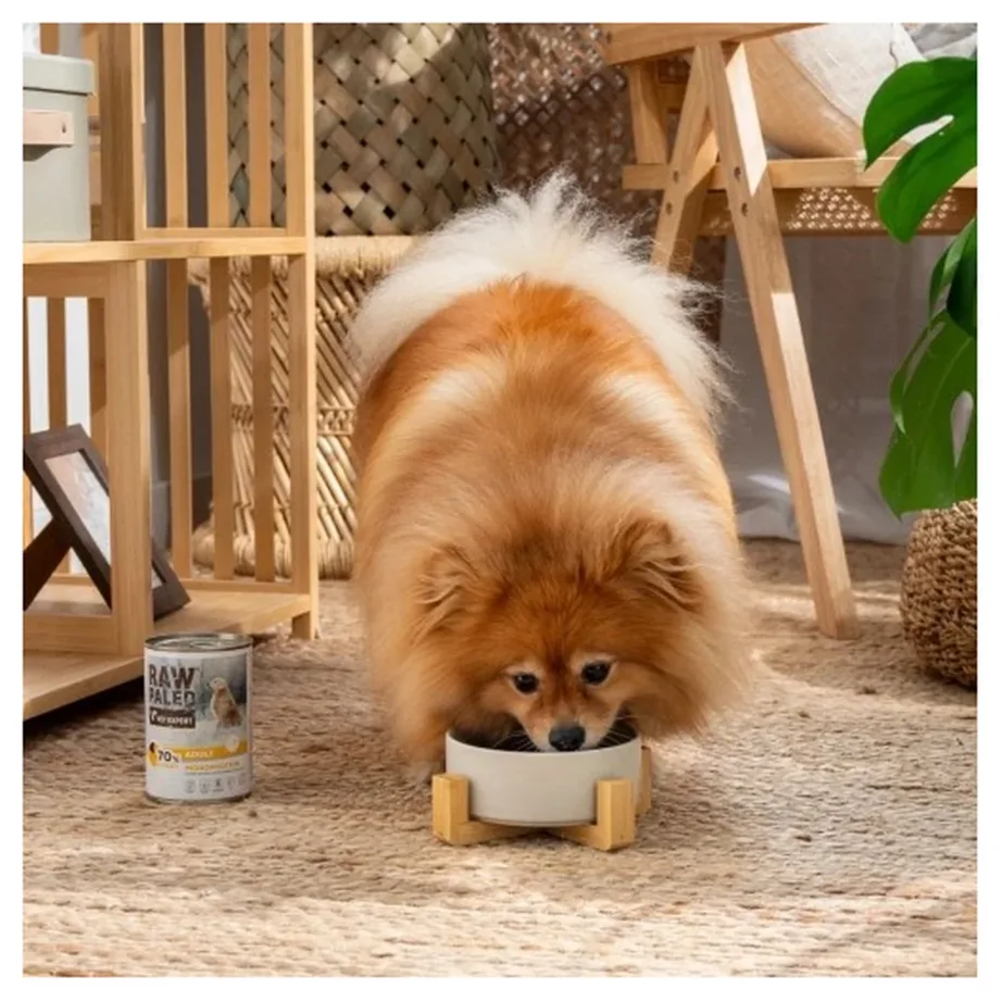 VetExpert Raw Paleo Adult 800 g kalkunimonoproteiiniga teraviljavaba märgtoit koertele – 4