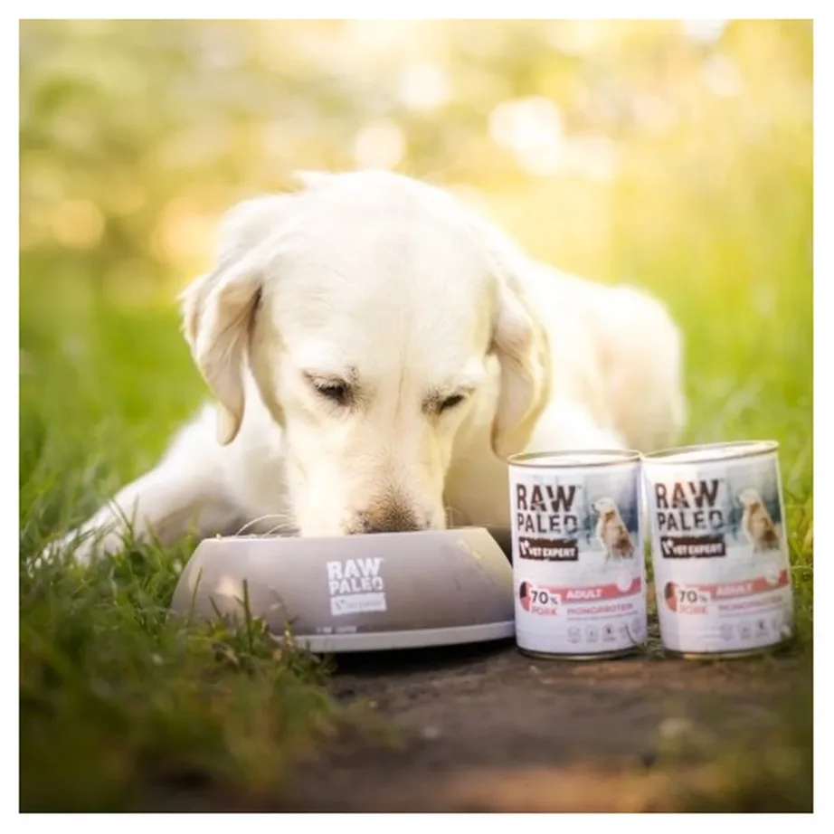 VetExpert Raw Paleo Adult Monoprotein Pork 800 g teraviljavaba märgtoit täiskasvanud koertele – 3