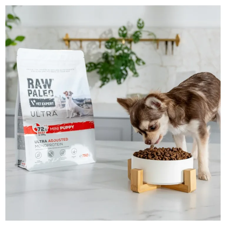 Kutsikas sööb VetExpert Raw Paleo Ultra kuivtoitu kausist