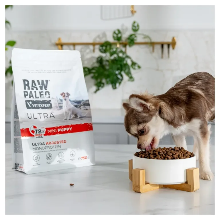 Väikest tõugu kutsikas naudib VetExpert Raw Paleo Ultra kuivtoitu