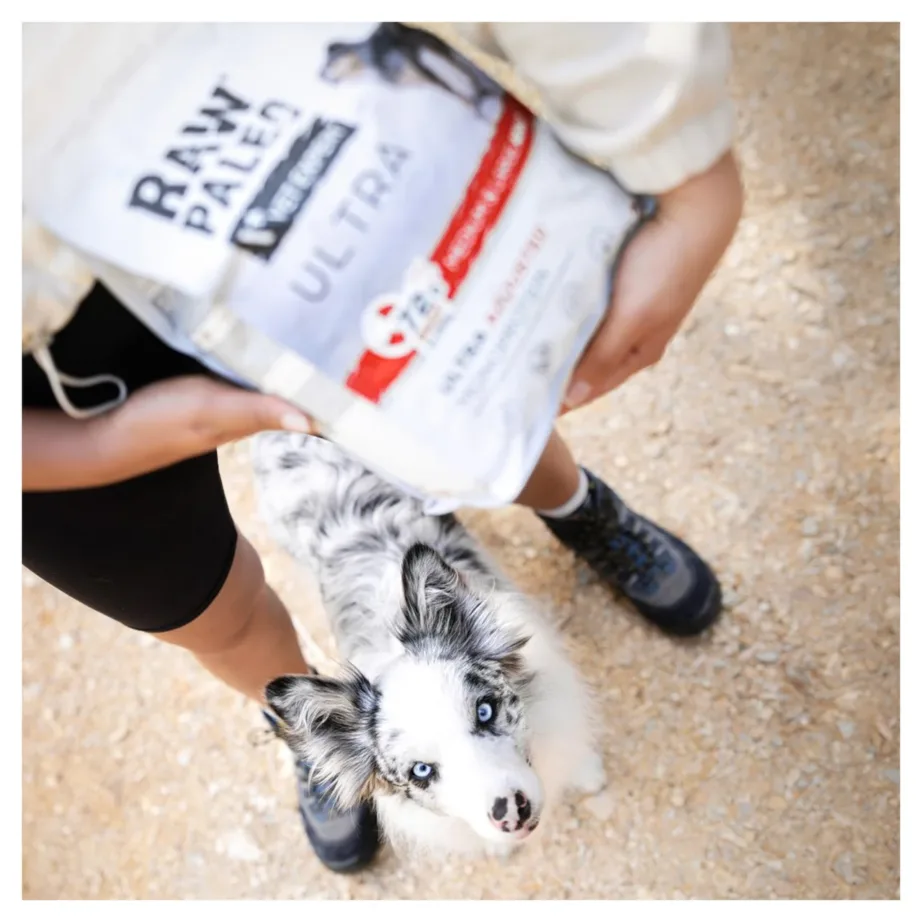 VetExpert Raw Paleo Ultra 2 kg veise monoproteiiniga gluteenivaba kuivtoit keskmistele ja suurtele kutsikatele – 7